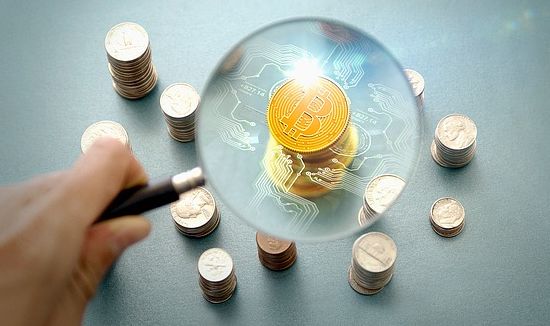 세무회계정인 이미지