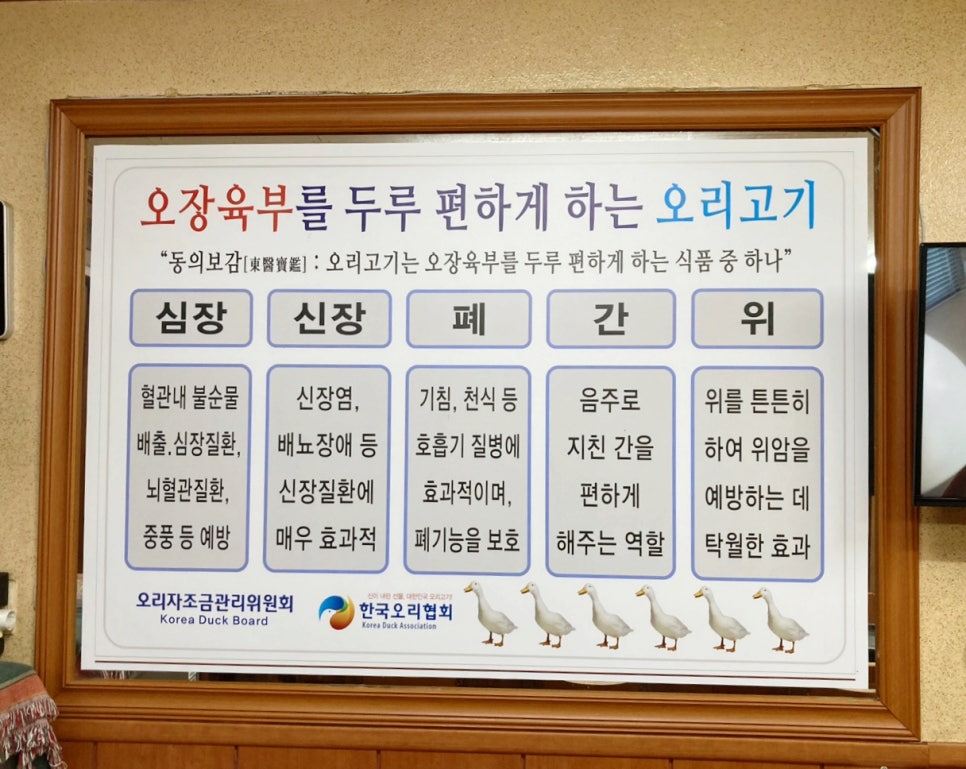 미정오리 이미지