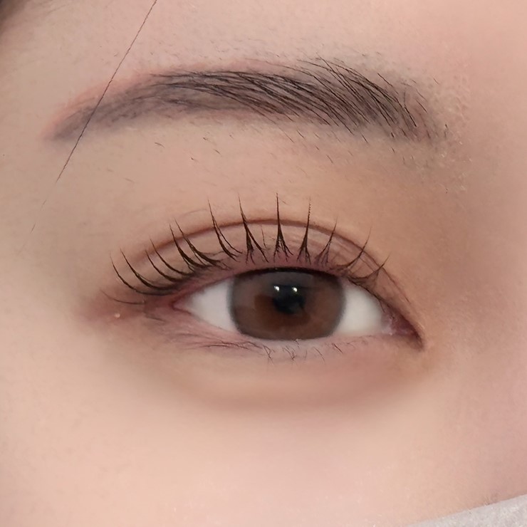 빛다브로우 이미지