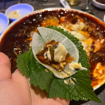 스지고집 이미지