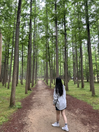 1박2일옛날짜장 이미지