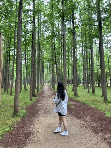 1박2일옛날짜장 이미지