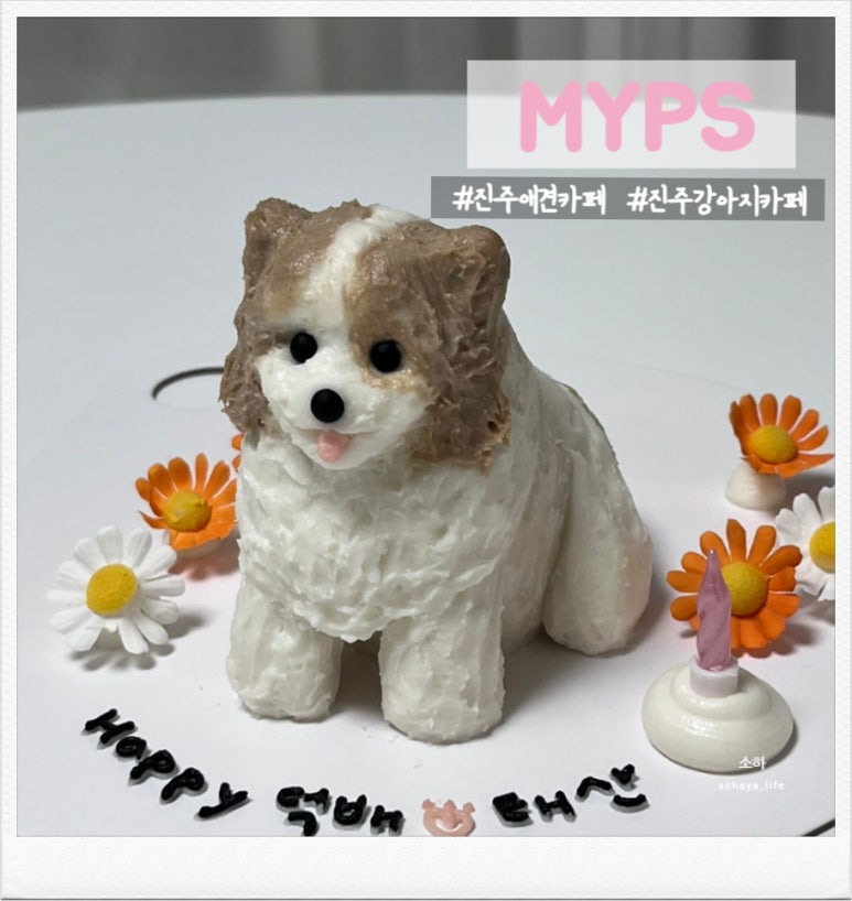 엠와이피에스 이미지