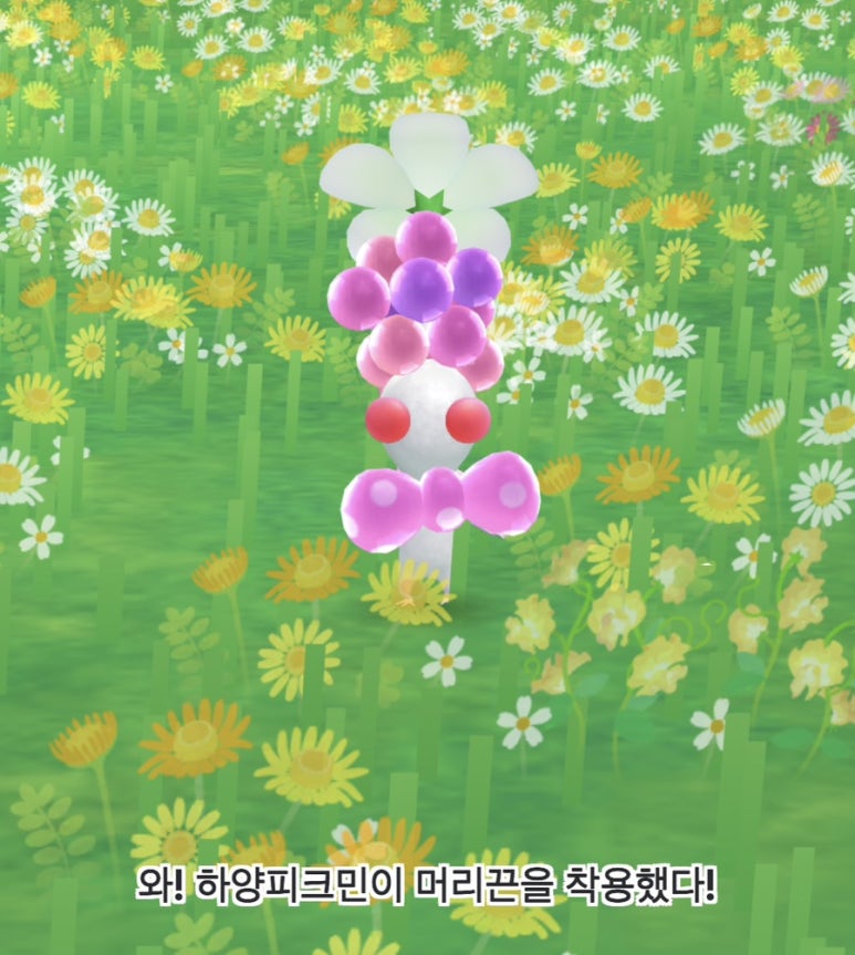 올챙이마트 이미지