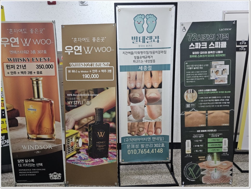 발데렐라 이미지