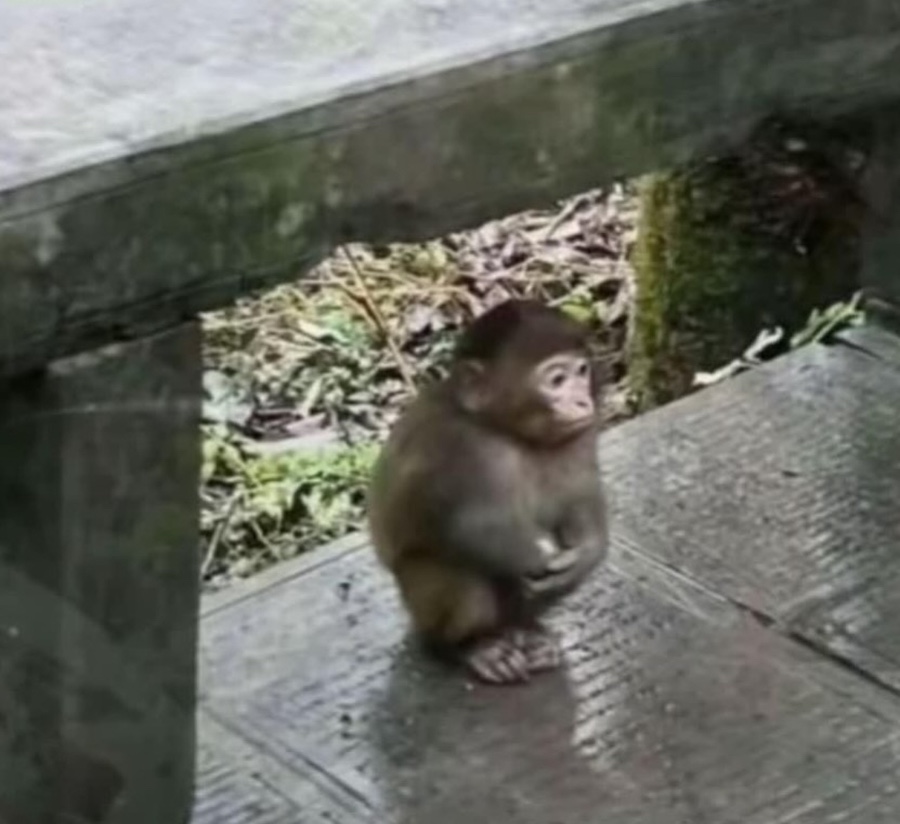 이모양 이미지