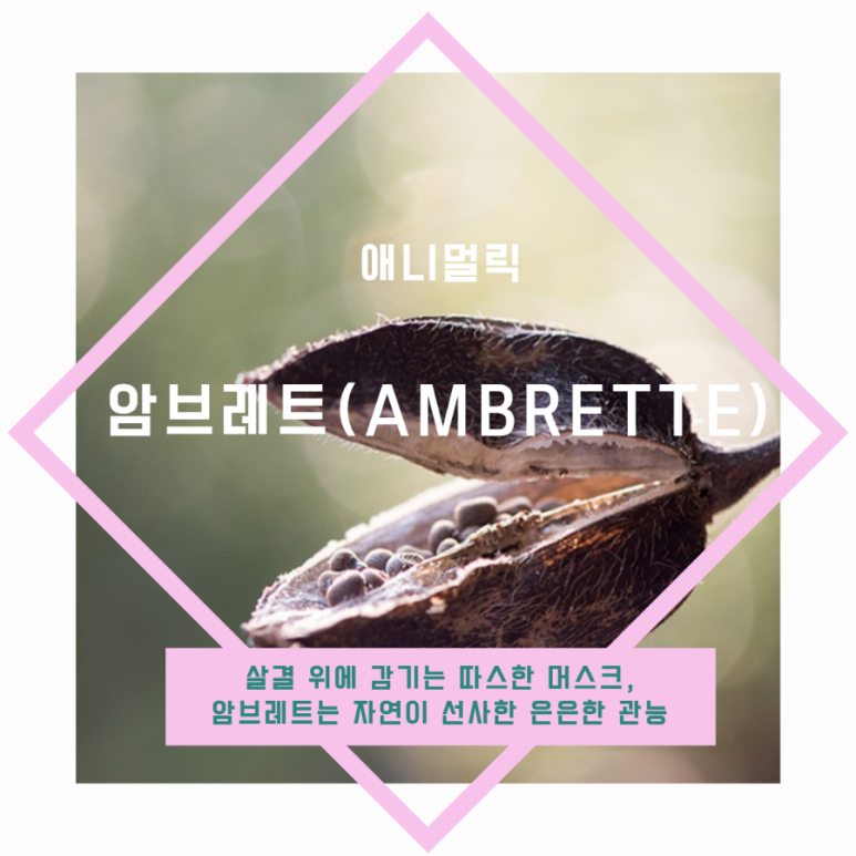 애니멀릭 이미지