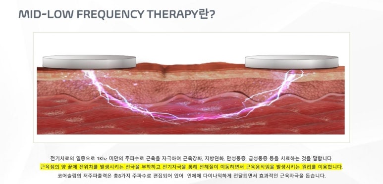모델라인의원 이미지