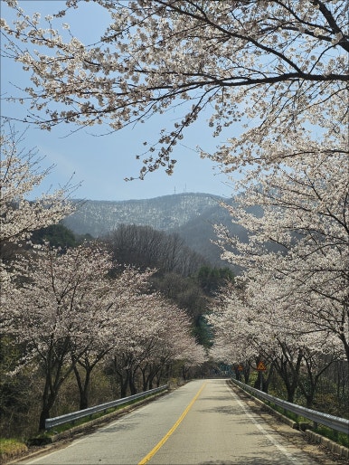 상록수회관 이미지