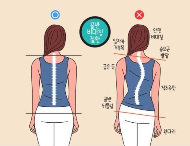 위위필라테스 이미지