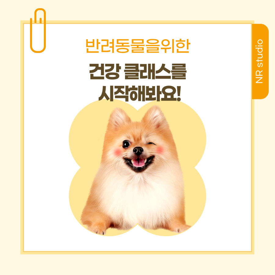 네추럴레매디 이미지