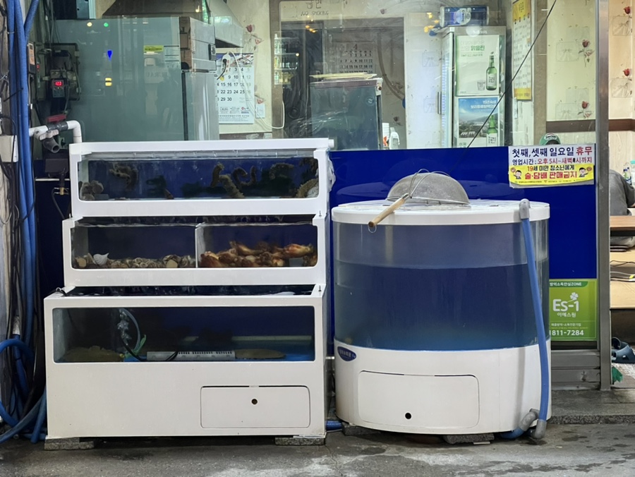 제일실내마차 이미지