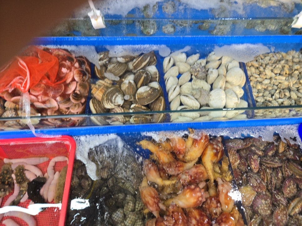 왔다수산 이미지