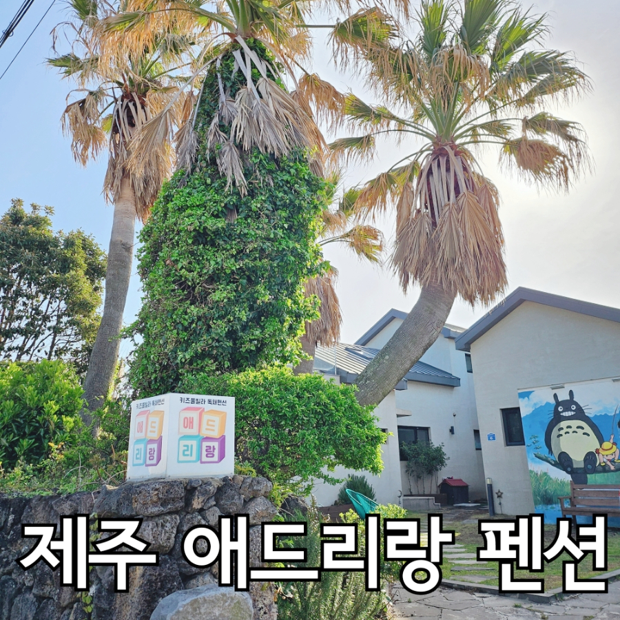 애드리랑 이미지