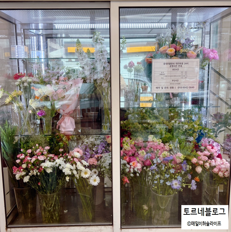 스튜디오백화 이미지