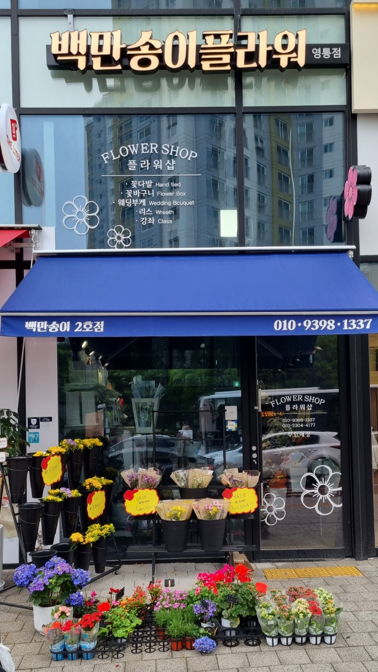 백만송이플라워 이미지