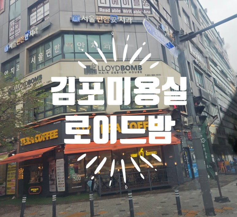 로이드밤헤어김포 이미지