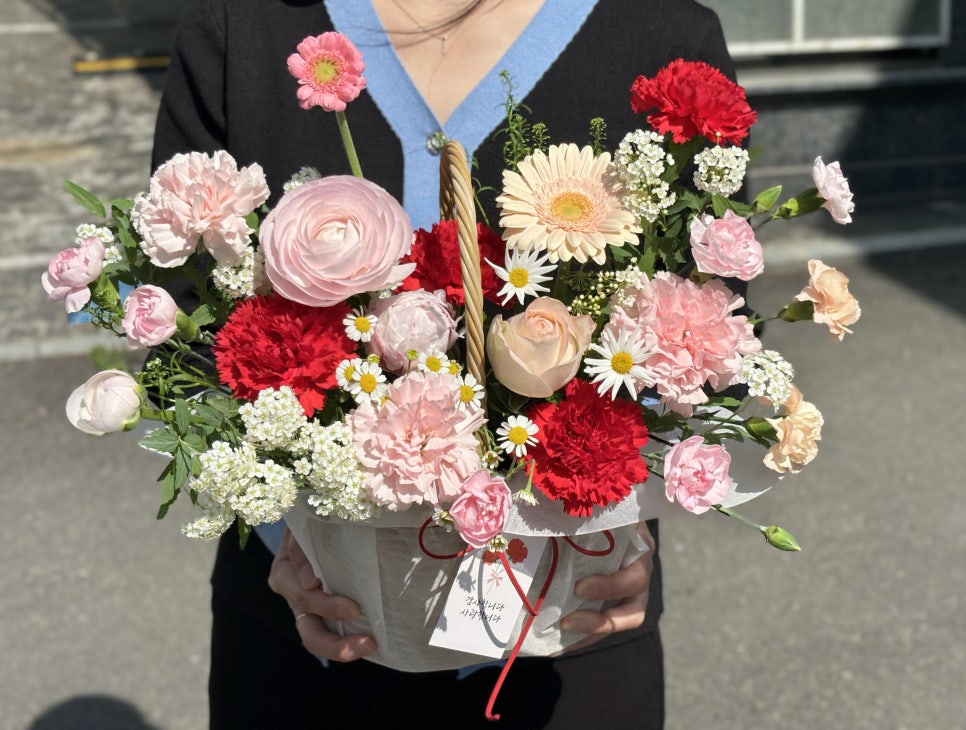 널;조화해 이미지