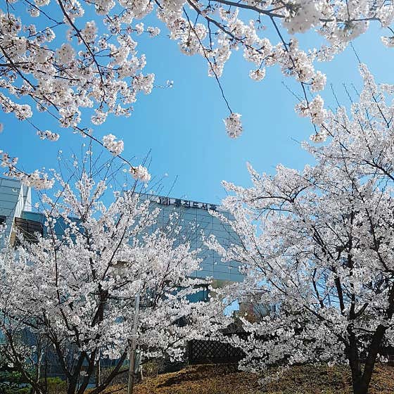 통진서비스 이미지
