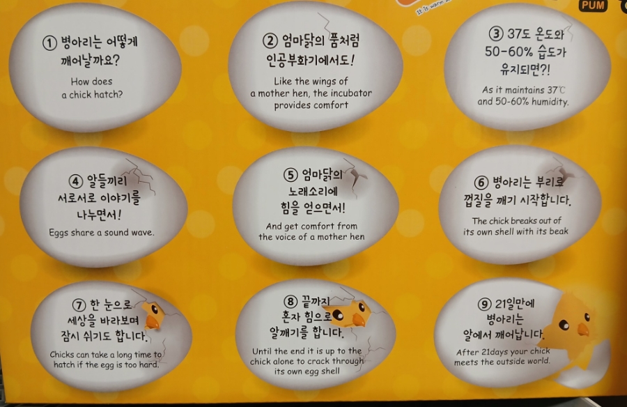 메추라기집 이미지