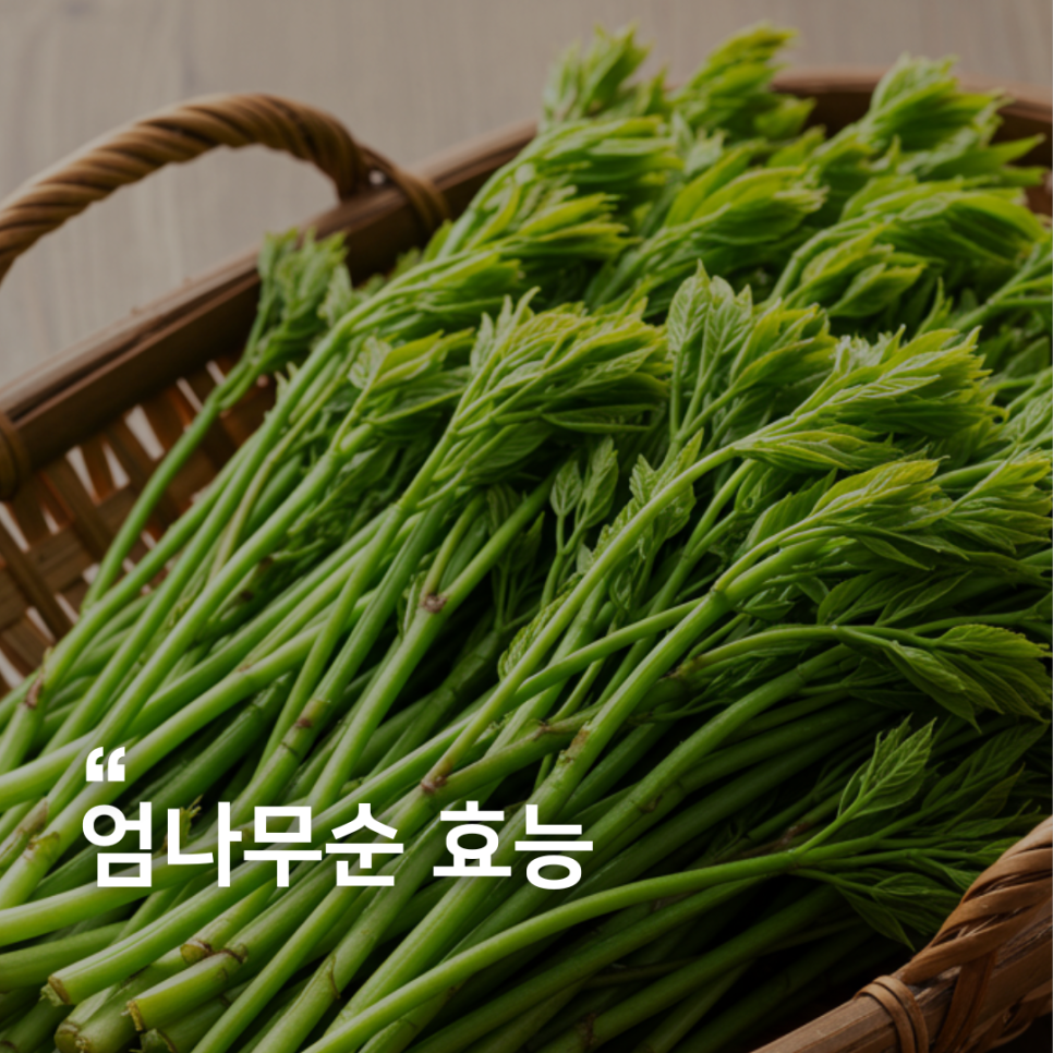 새순슈퍼 이미지