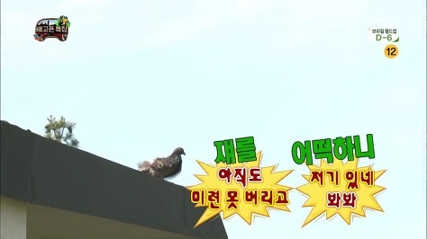 알레그라피 이미지