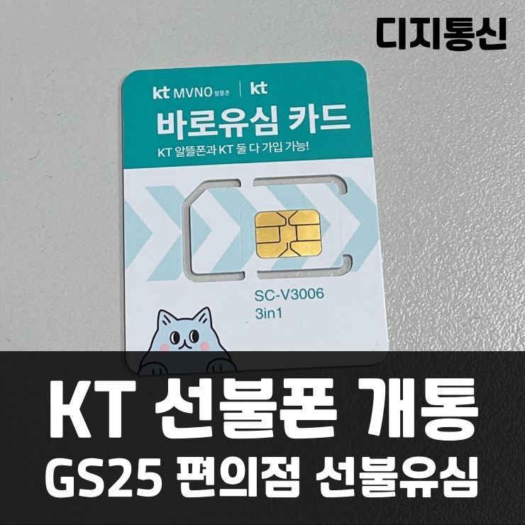 디지지에스 이미지