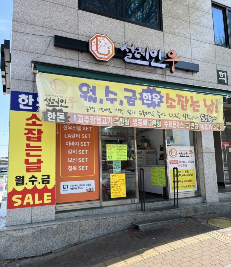 설레인우 고색점 이미지