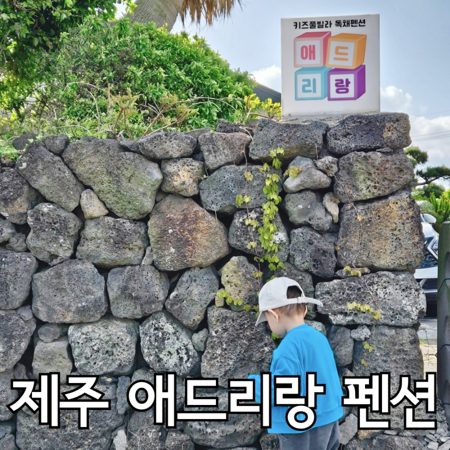 애드리랑 이미지