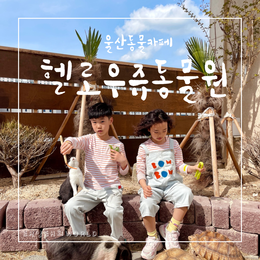헬로우쥬 카페 이미지