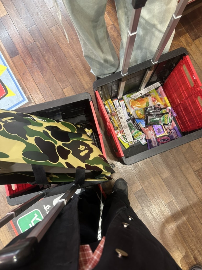 노미네일 이미지