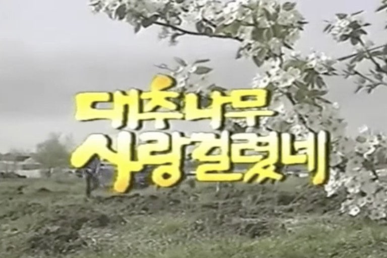 돼지사랑 이미지