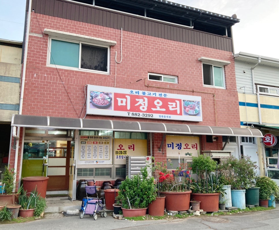미정오리 이미지