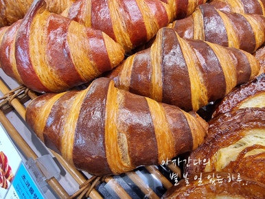 파리바게뜨부산신항 이미지