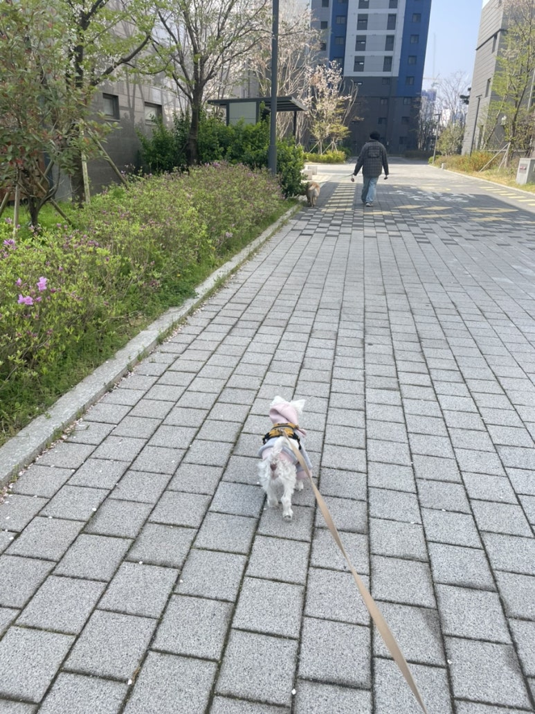 역전콩나물 이미지