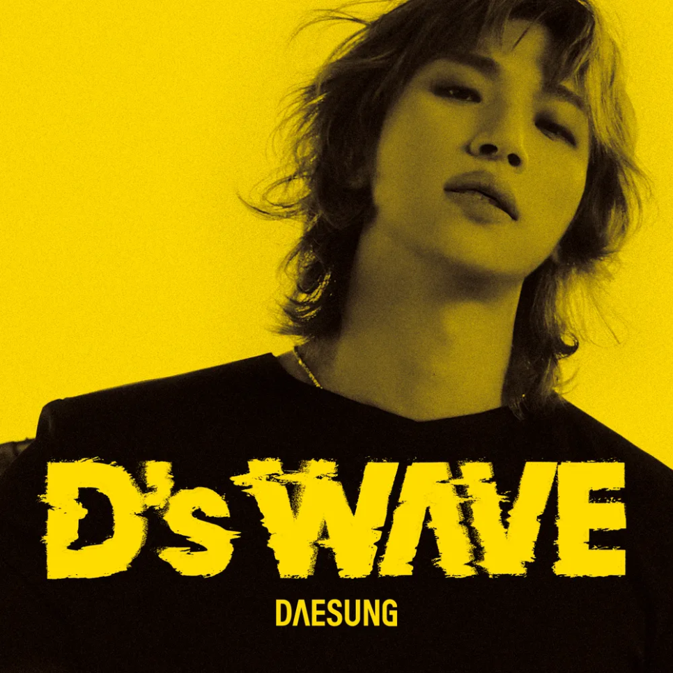 D&S 이미지