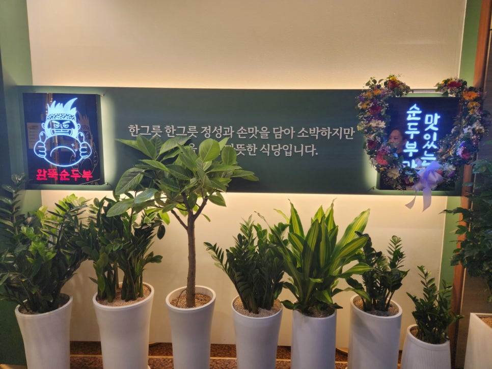 완뚝순두부 이미지