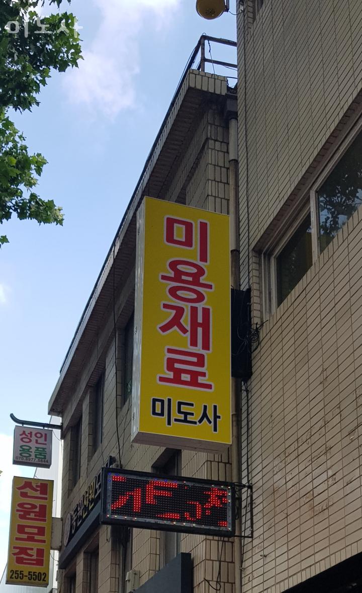 미도사 이미지