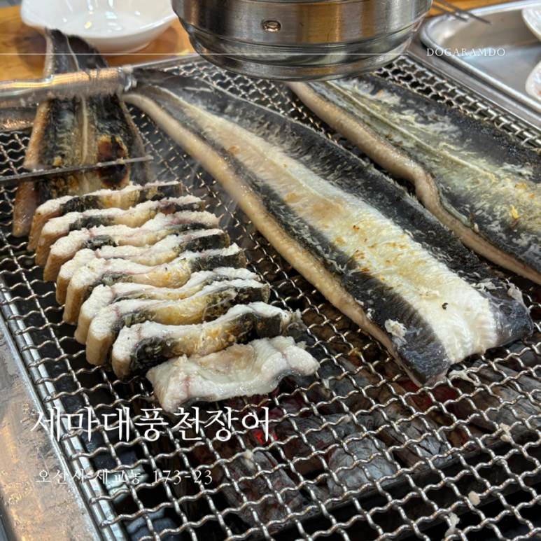 세마대풍천장어 이미지