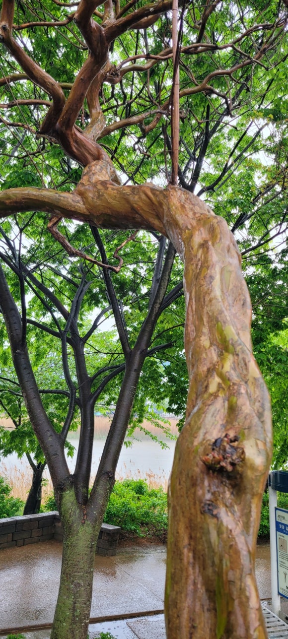 삼화여관 이미지