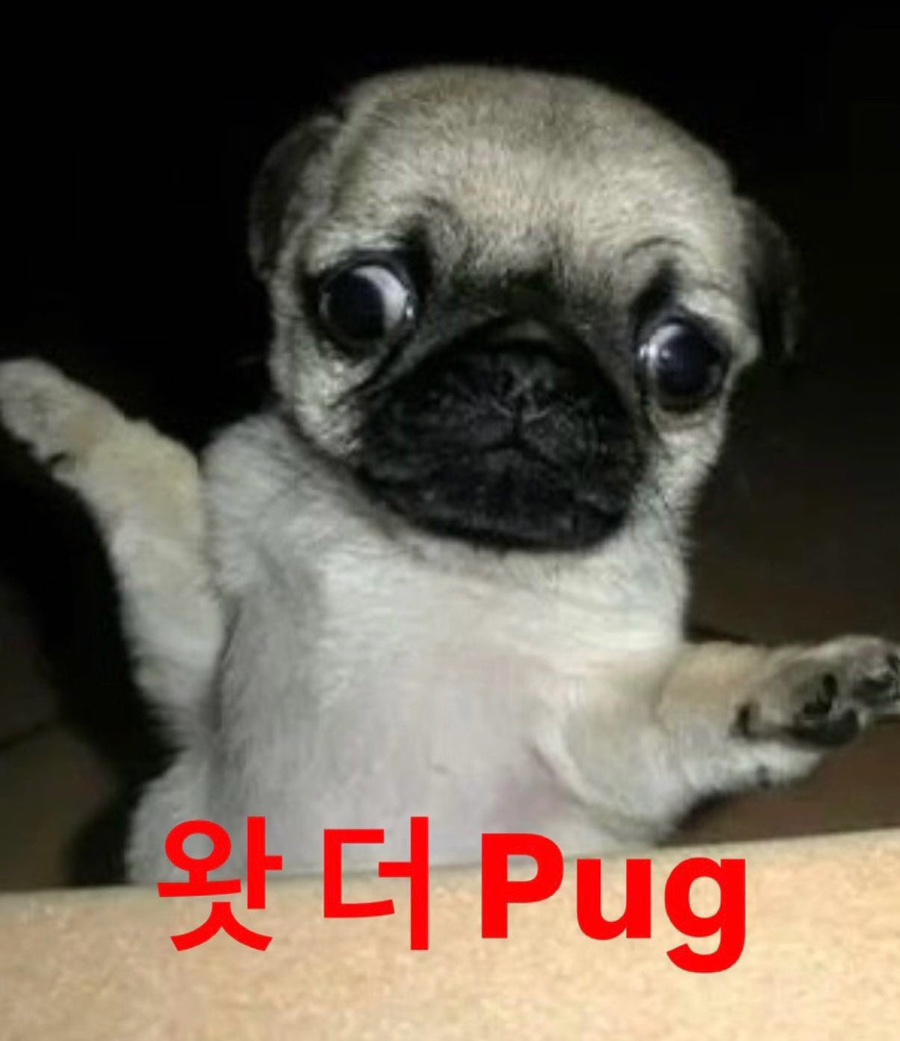아 이미지