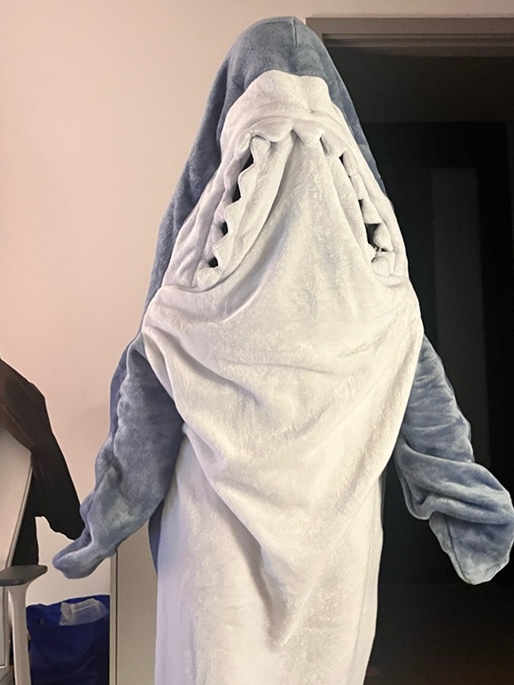 입어보개 이미지