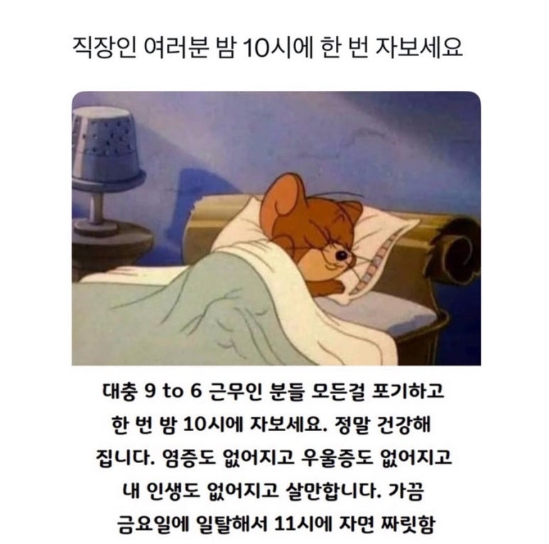 자야마인드 이미지
