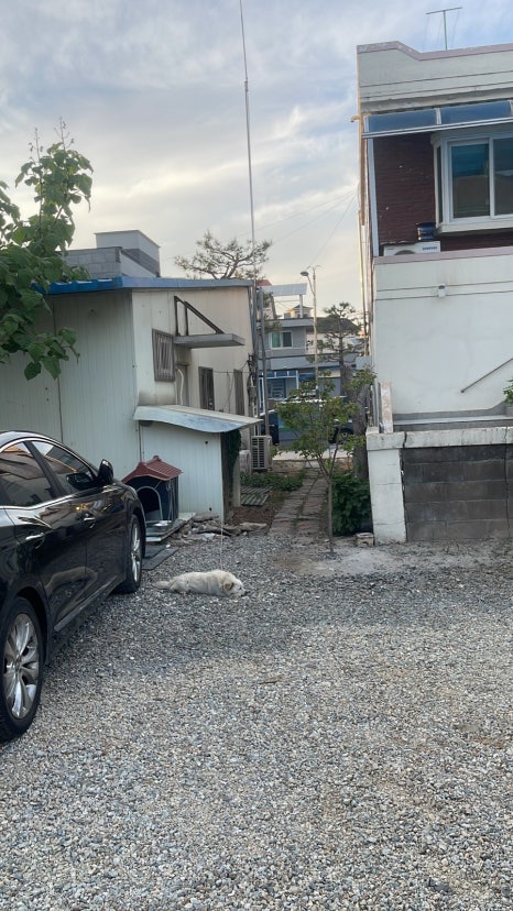 남양한우실비식당 이미지