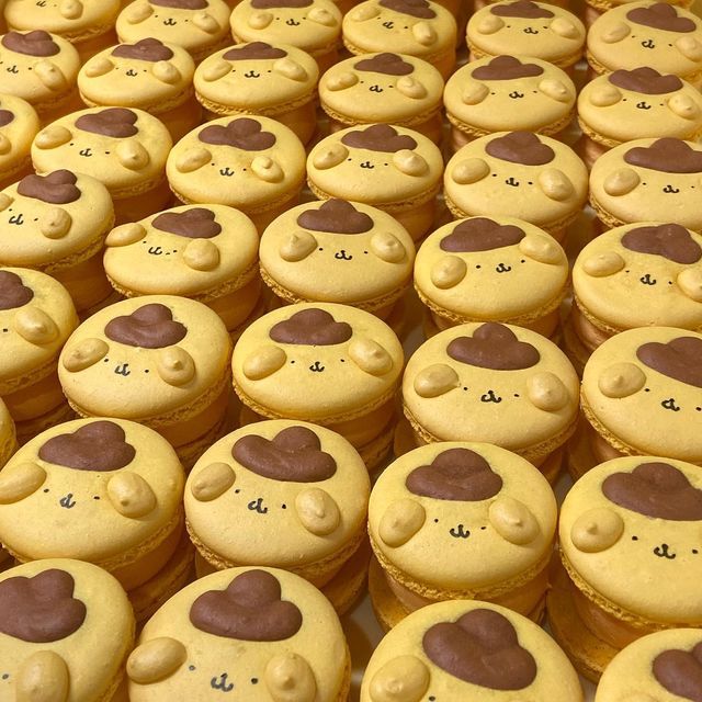 더마카롱 이미지