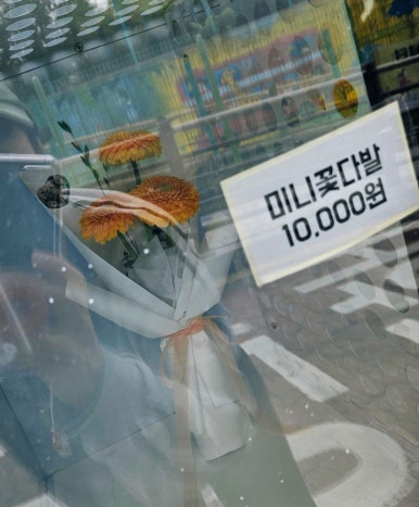 르모멍 이미지