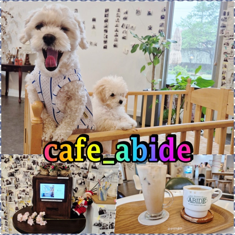 에이바이드 이미지