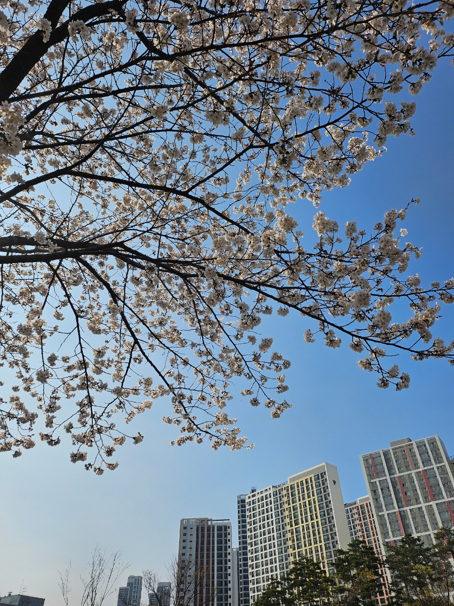 한스푼THE 이미지