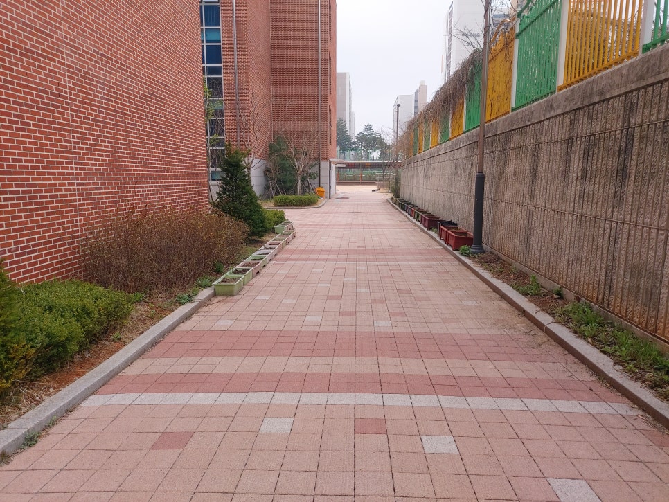 초롱초등학교 이미지
