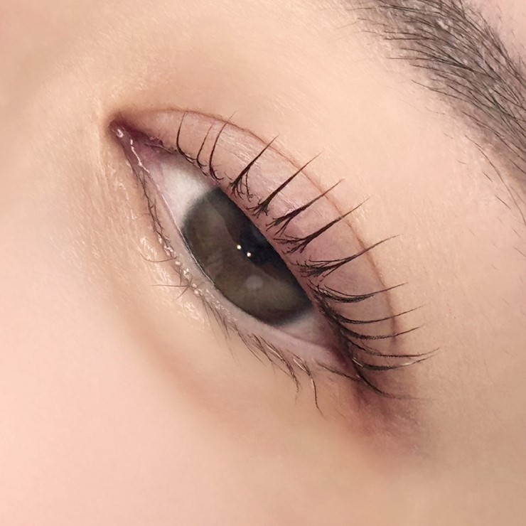 빛다브로우 이미지